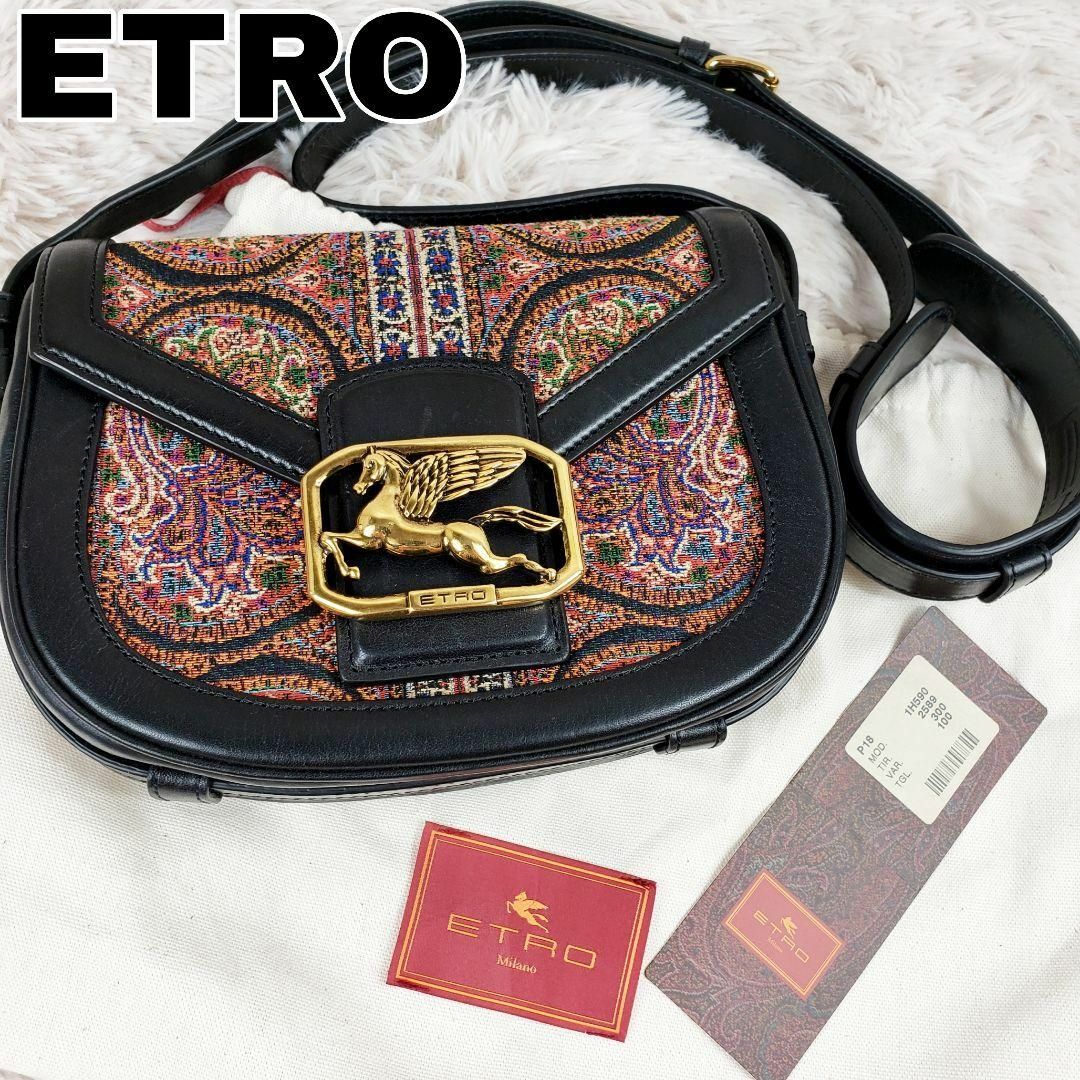 ETRO - 定価20万 新品未使用 エトロ ショルダー ペガソ 2020AW