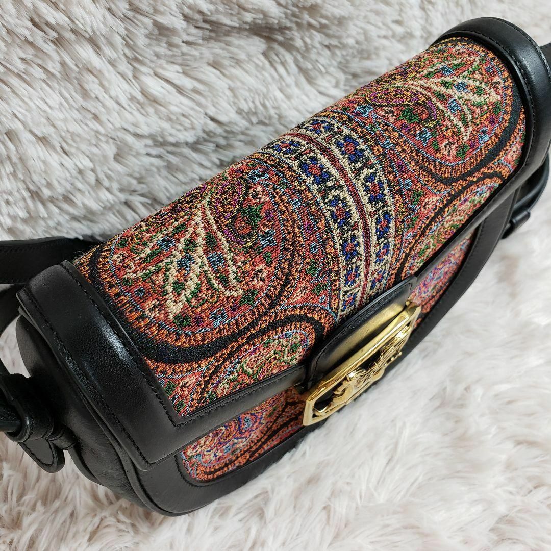 ETRO(エトロ)の定価20万 新品未使用 エトロ ショルダー ペガソ 2020AW ペイズリー レディースのバッグ(ショルダーバッグ)の商品写真