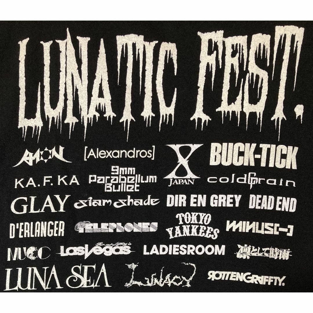 MUSIC TEE(ミュージックティー)の【即購入OK】LUNATIC FEST.2015 Tシャツ M メンズのトップス(Tシャツ/カットソー(半袖/袖なし))の商品写真