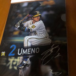 ハンシンタイガース(阪神タイガース)の梅野隆太郎 クリアファイル(スポーツ選手)