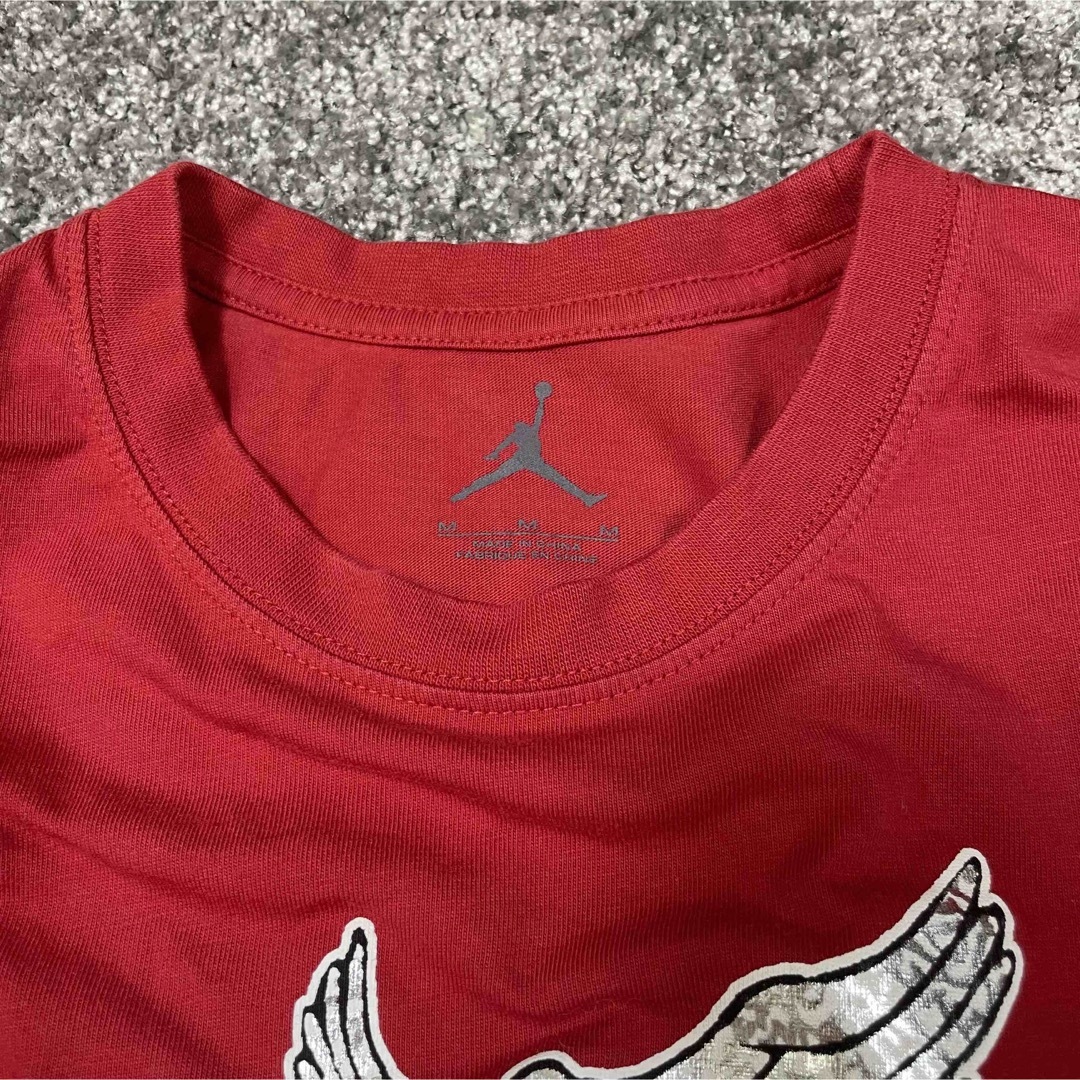 美品　nike jordan レアTシャツ　M