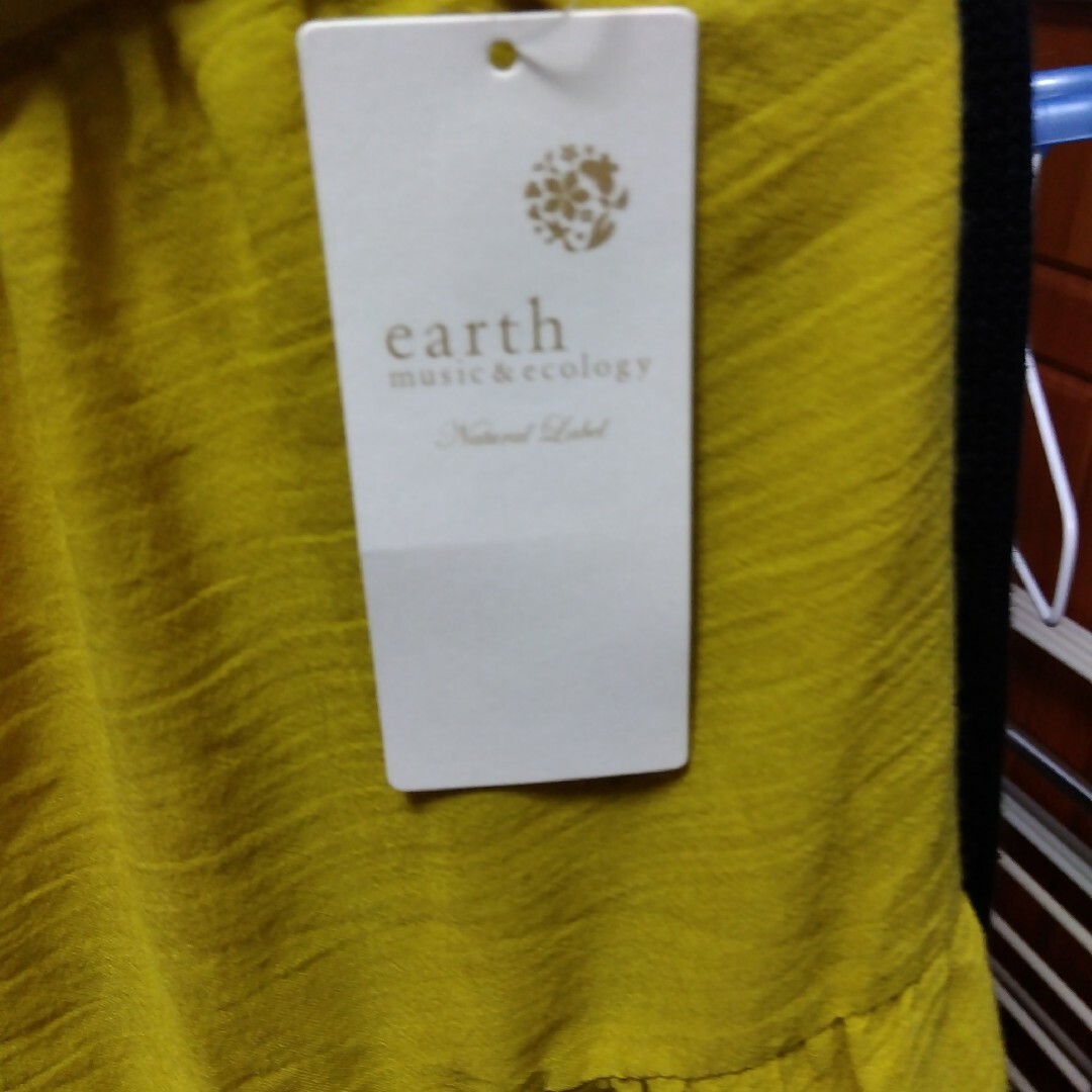 earth music & ecology(アースミュージックアンドエコロジー)のearthティアードロングスカート レディースのスカート(ロングスカート)の商品写真