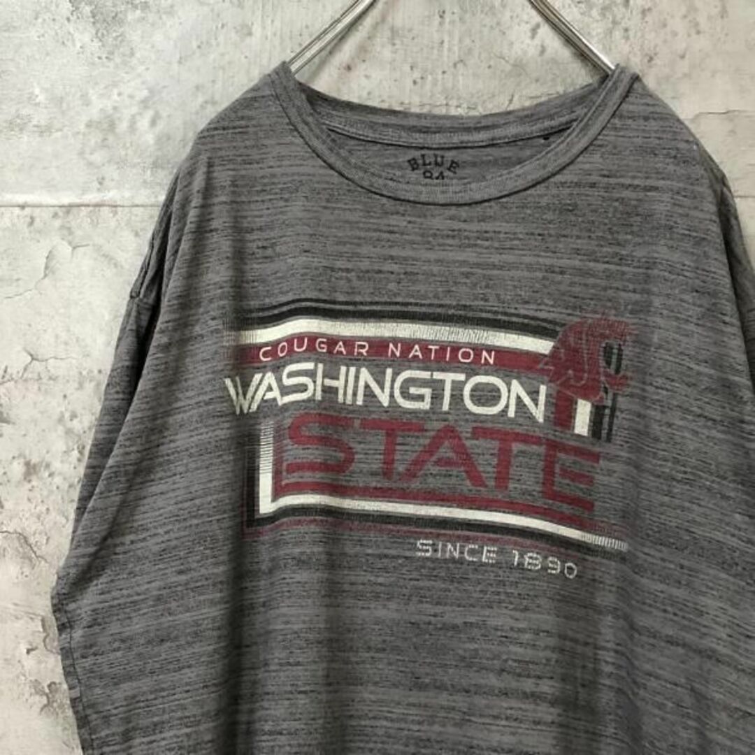 WASHINGTON STATE USA輸入 オーバーサイズ Tシャツ