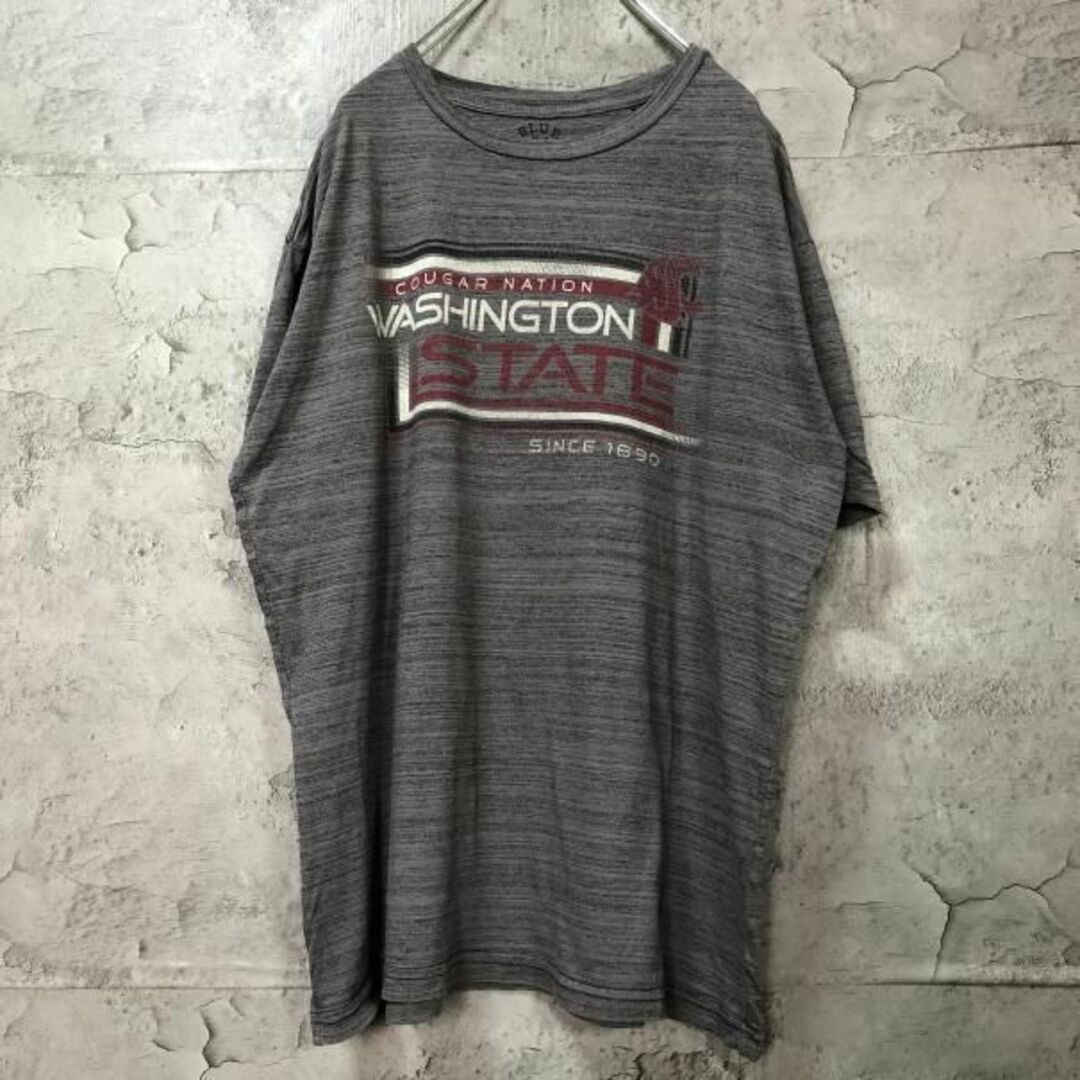 WASHINGTON STATE USA輸入 オーバーサイズ Tシャツ