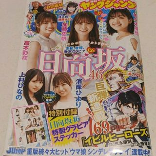 シュウエイシャ(集英社)の日向坂46   週刊ヤングジャンプ  26号  応募券無(アート/エンタメ)