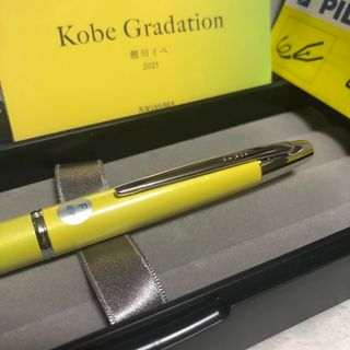 限定 新品未使用 パイロット 万年筆 ナガサワオリジナル 鯉川イペ