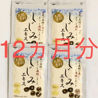 しじみエキス オルニチン タウリン サプリメント 3カ月分×4袋　1年分(魚介)