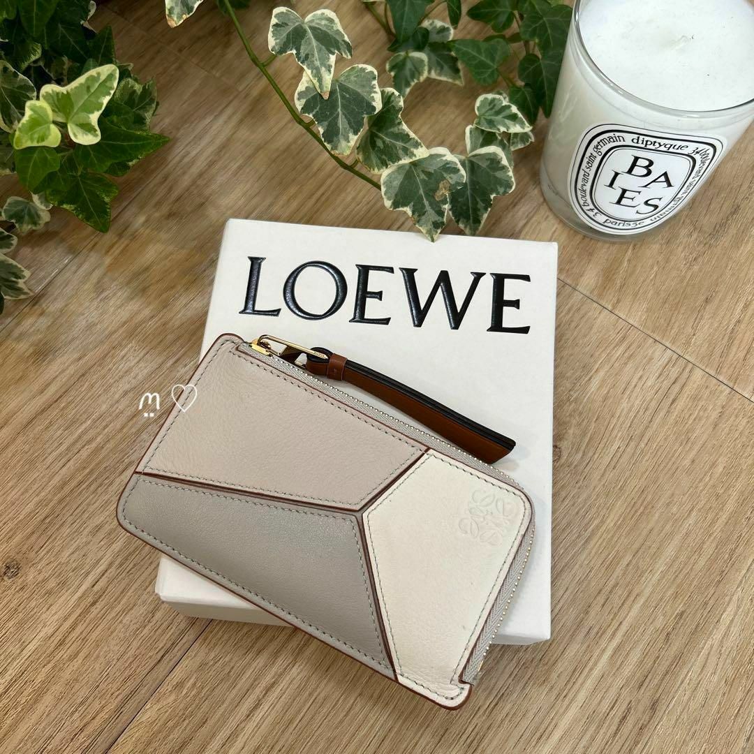 【美品】 LOEWE ロエベ フラグメントケース アナグラム 小銭入れ ブラウン