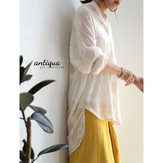 アンティカ(antiqua)の【未使用】antiqua シアーシャツ ブラウス シースルー チュニック 長袖(シャツ/ブラウス(長袖/七分))