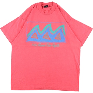 古着 90年代 スクリーンスターズ SCREEN STARS プリントTシャツ USA製 メンズL ヴィンテージ /eaa359260(Tシャツ/カットソー(半袖/袖なし))