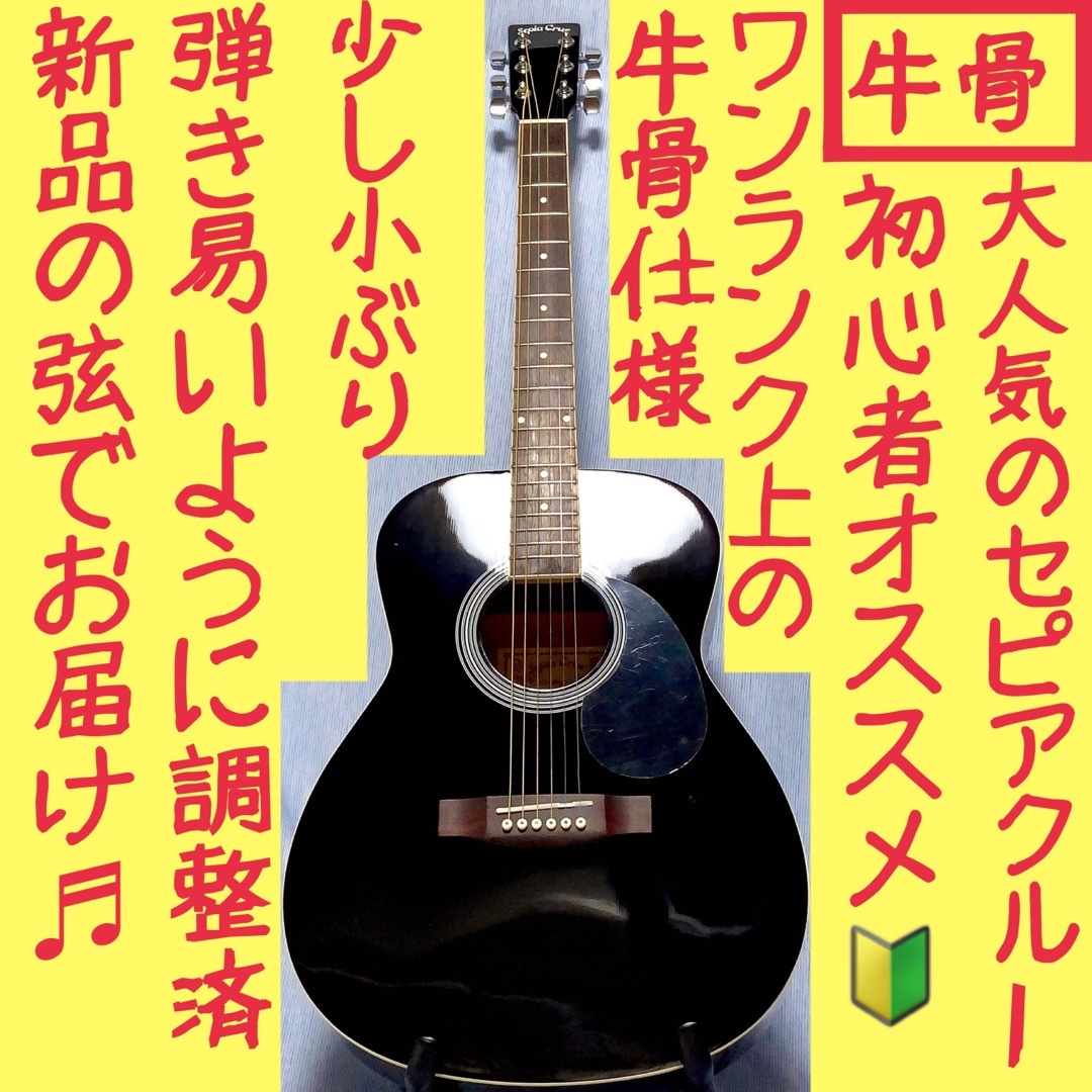 HONEY BEE！W-15 BK！アコギ！ - 通販 - pinehotel.info