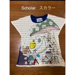 スカラー(ScoLar)のScholar  スカラー　Tシャツ　チュニック　Ｍ(Tシャツ(半袖/袖なし))