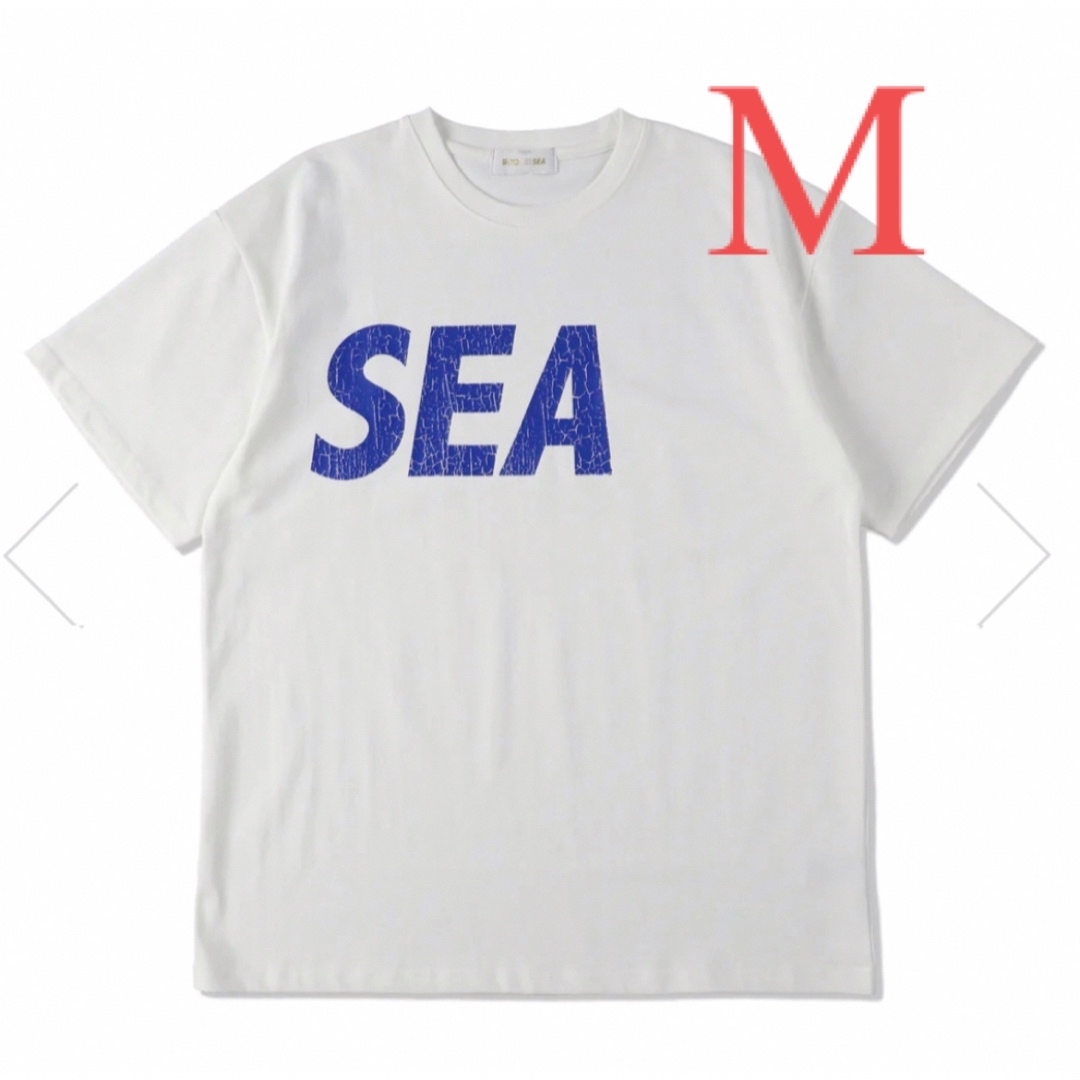 メンズWIND AND SEA SEA (Crack-P-Dye) S/S Tee