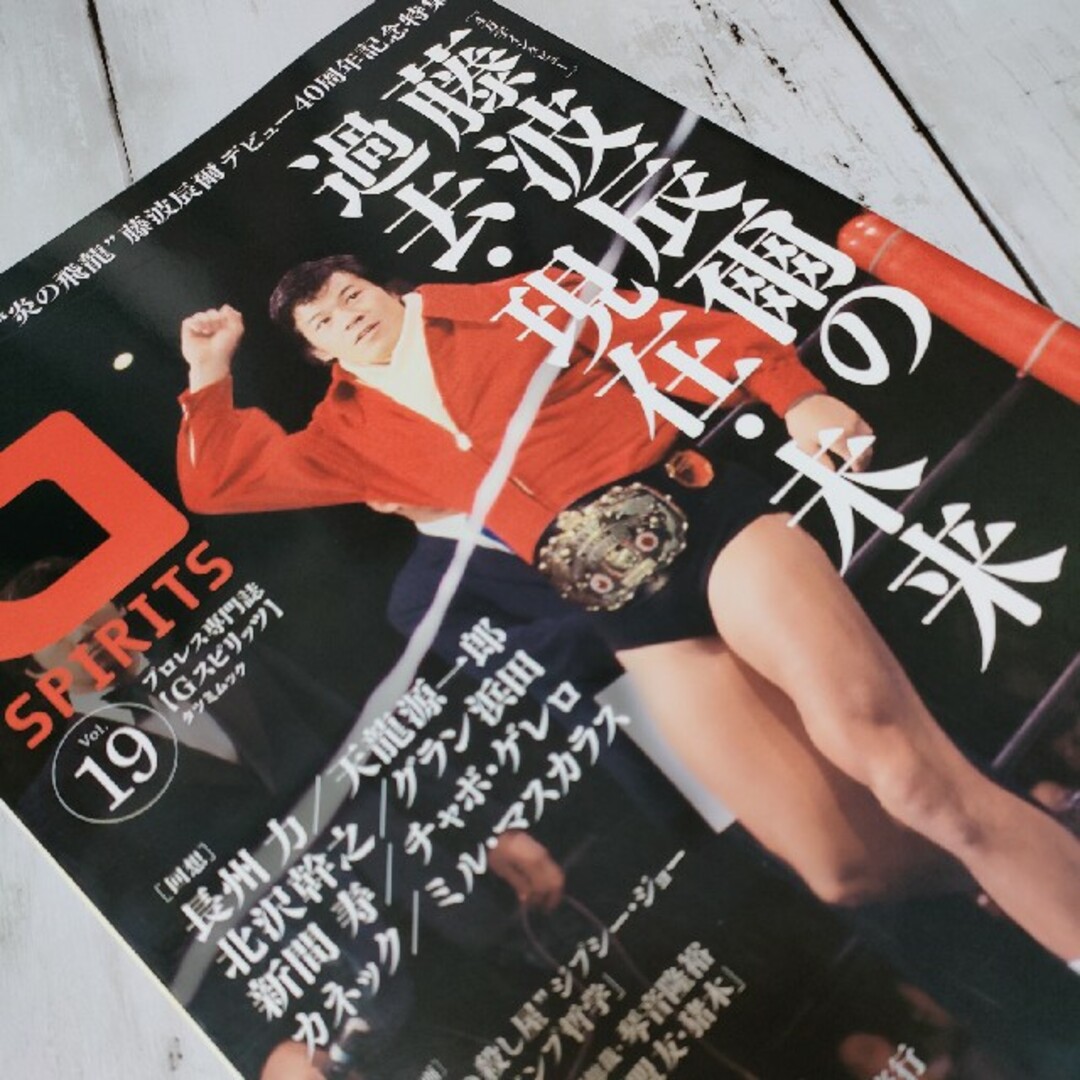 Ｇスピリッツ プロレス専門誌 ｖｏｌ．１９ エンタメ/ホビーの本(趣味/スポーツ/実用)の商品写真