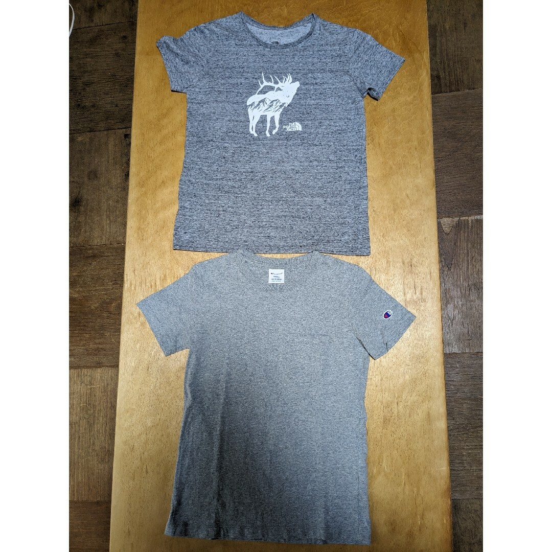 THE NORTH FACE(ザノースフェイス)のノースフェイス アニマル ティー チャンピオン 2枚セット Sサイズ グレー系 レディースのトップス(Tシャツ(半袖/袖なし))の商品写真
