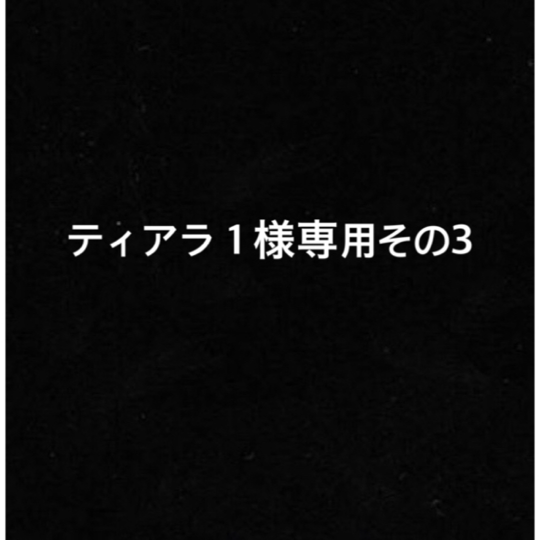 残りわずか】 ティアラ１様専用その3 univ-silkroad.uz