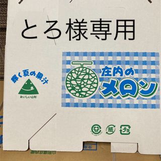 とろ様専用(フルーツ)