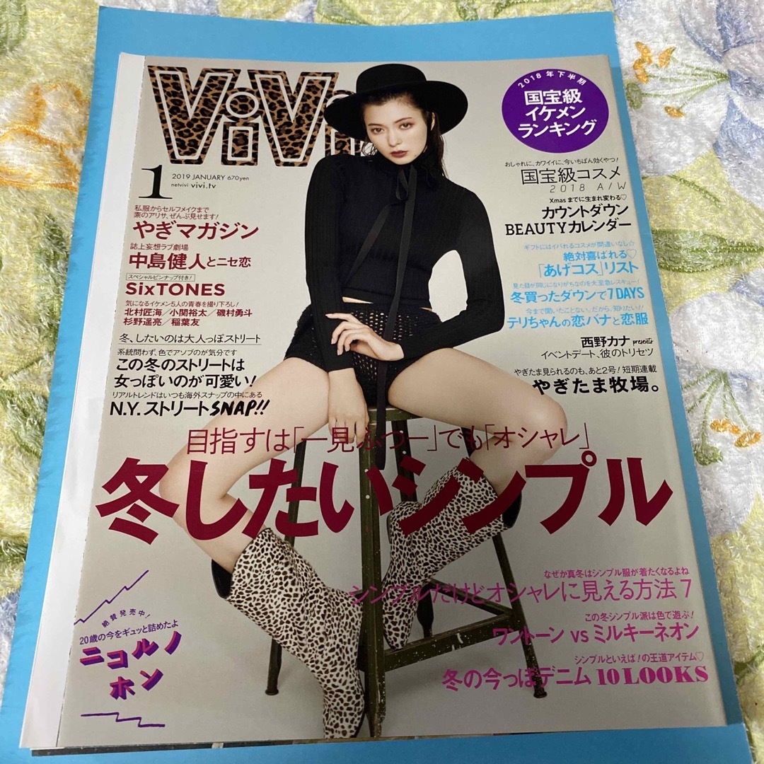 ViVi (ヴィヴィ) 2019年 01月号 4月中に処分予定 エンタメ/ホビーの雑誌(ファッション)の商品写真