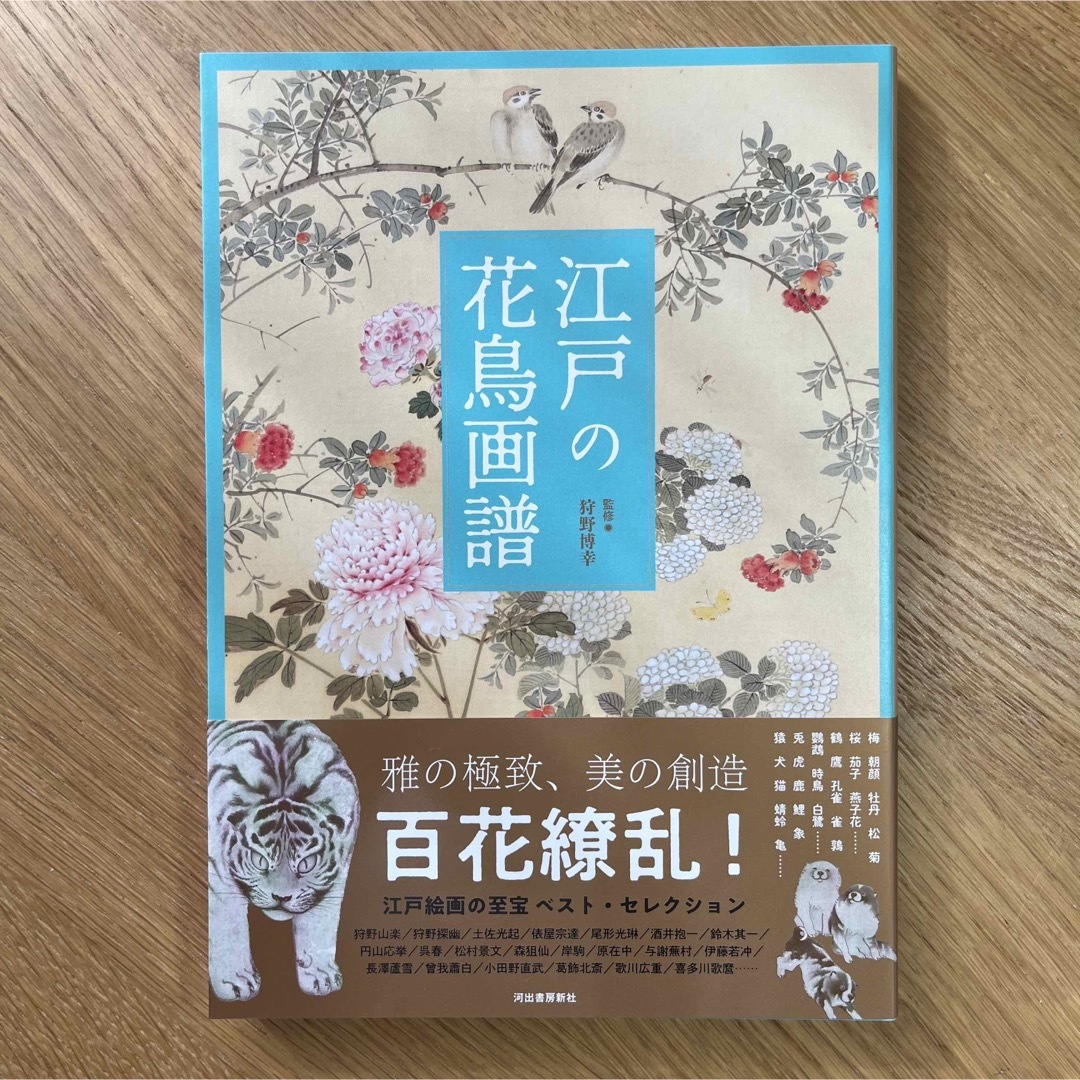 江戸の花鳥画譜   河出書房新社【新品】 エンタメ/ホビーの本(アート/エンタメ)の商品写真