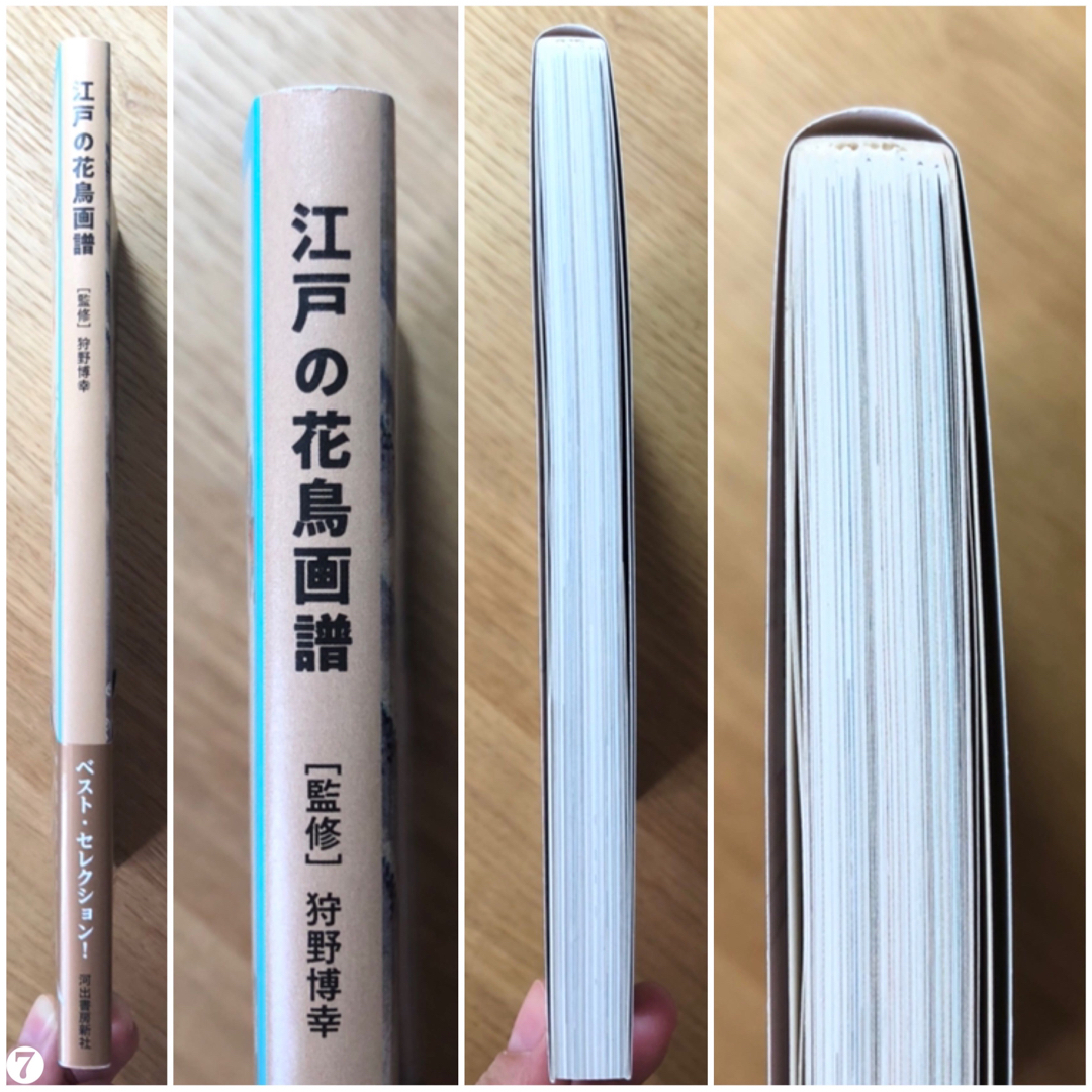 江戸の花鳥画譜   河出書房新社【新品】 エンタメ/ホビーの本(アート/エンタメ)の商品写真