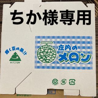 ちか様専用(フルーツ)