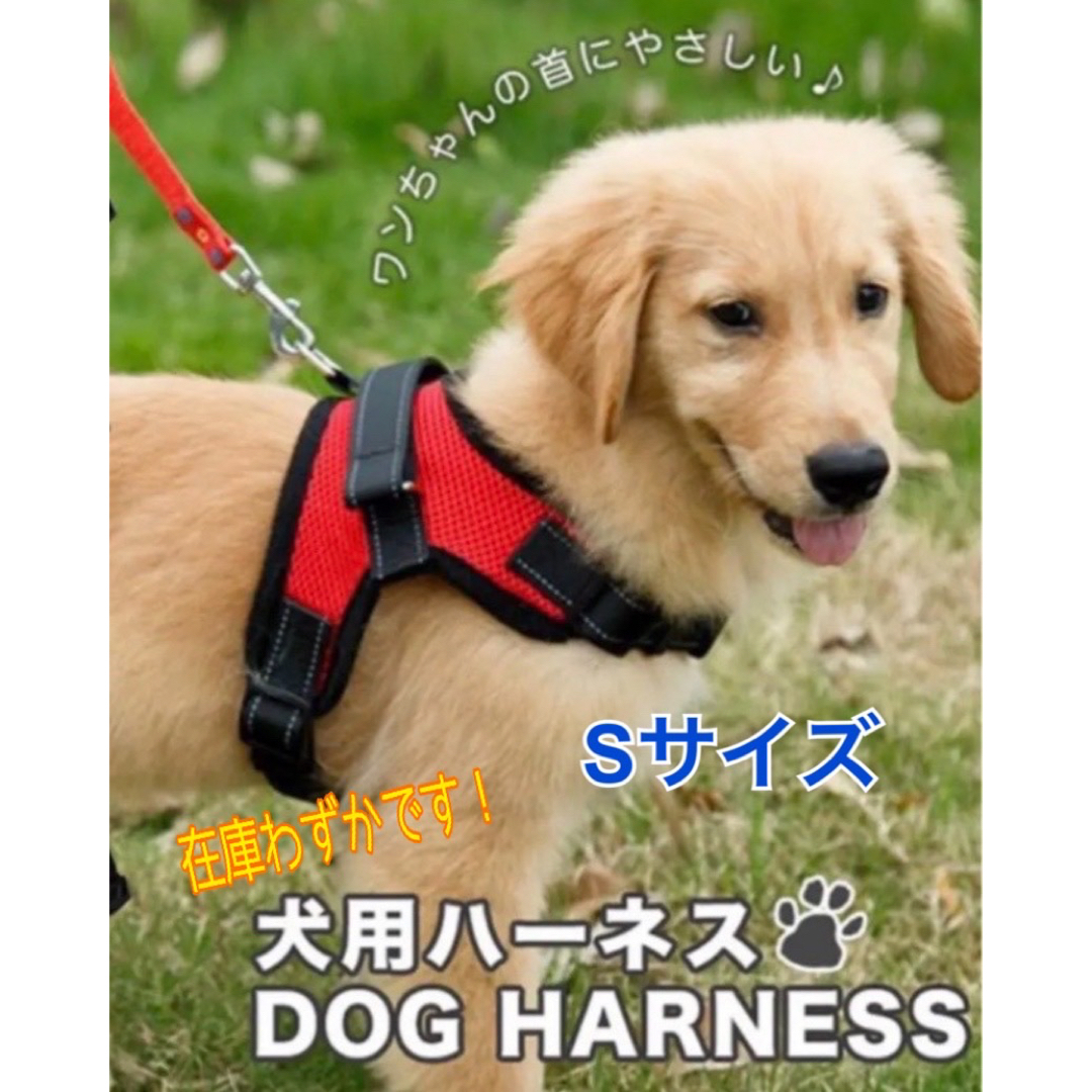⭐️最安値⭐️【Sサイズ】ハーネス 犬用品 レッド 赤 犬服 ペット服 簡単着脱 ハンドメイドのペット(リード/首輪)の商品写真