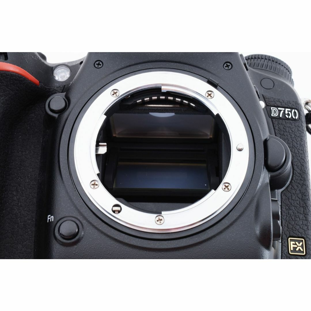 13738 美品 Nikon D750 単焦点マクロ&標準&超望遠 ニコンセット