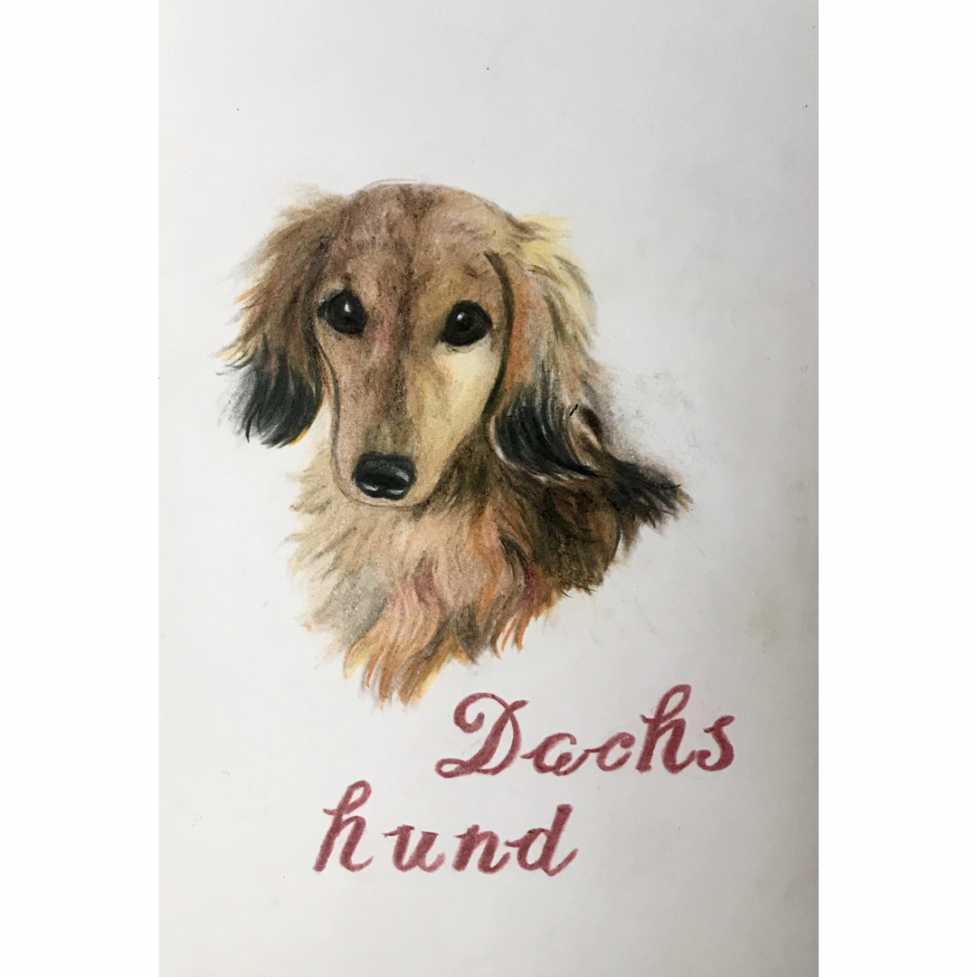 ダックスフンド 犬 絵画 イラスト 色鉛筆画 インテリア 原画 ダックスフンド 犬 絵画 イラスト 色鉛筆画 インテリア 原画