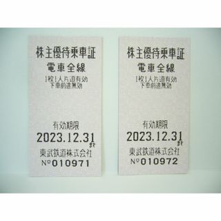 東武鉄道　株主優待乗車証（電車全線）2枚(鉄道乗車券)