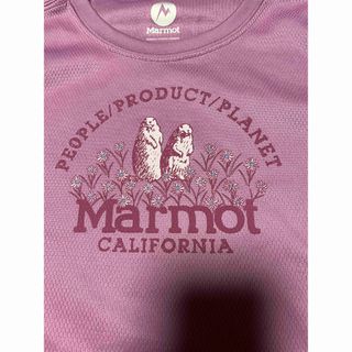 マーモット(MARMOT)のMarmot  Tシャツ　Sサイズ　訳あり(Tシャツ(半袖/袖なし))