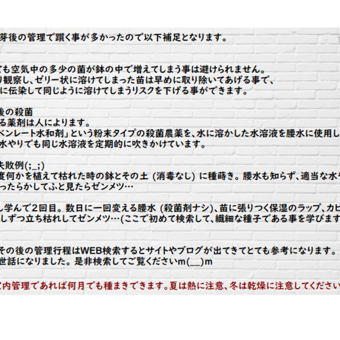 国産　リトープス ミックス種子 500粒+ 発芽確認済み ハンドメイドのフラワー/ガーデン(その他)の商品写真