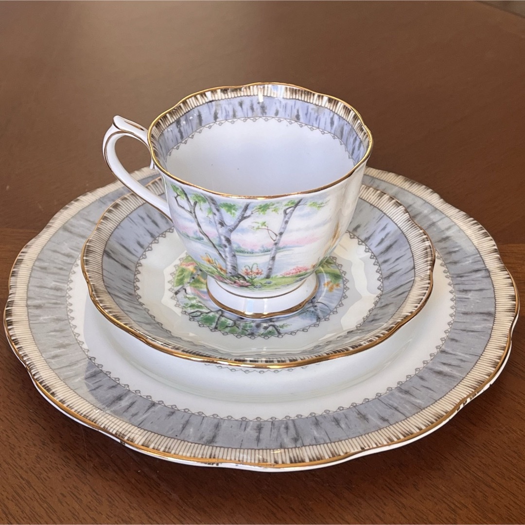 ROYAL ALBERT - 【美品】ロイヤルアルバート☆シルバーバーチ☆トリオ