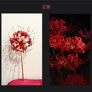 彼岸花 曼珠沙華 簪 赤 (ヘアアクセサリー)