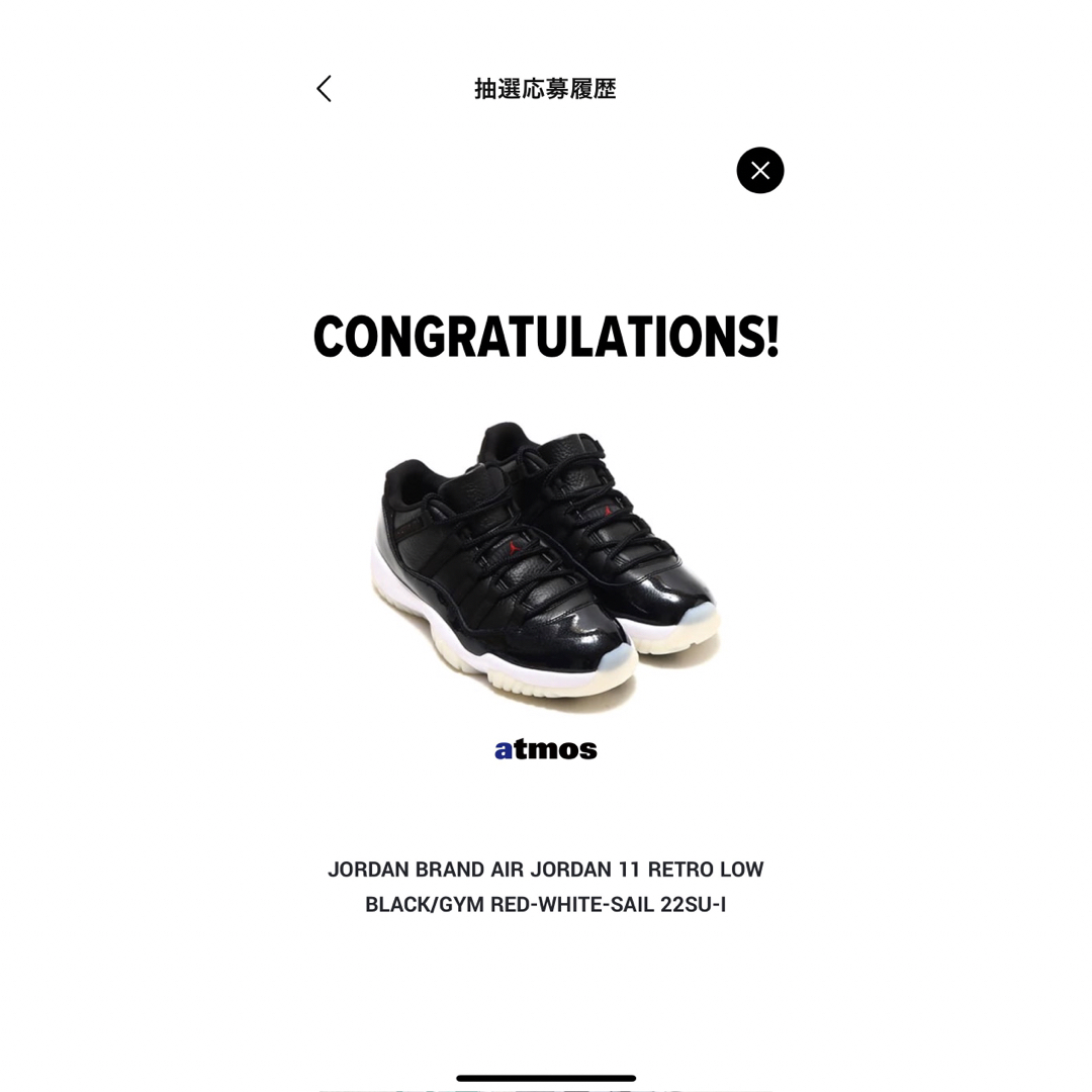 Jordan 11 Low 定価以下