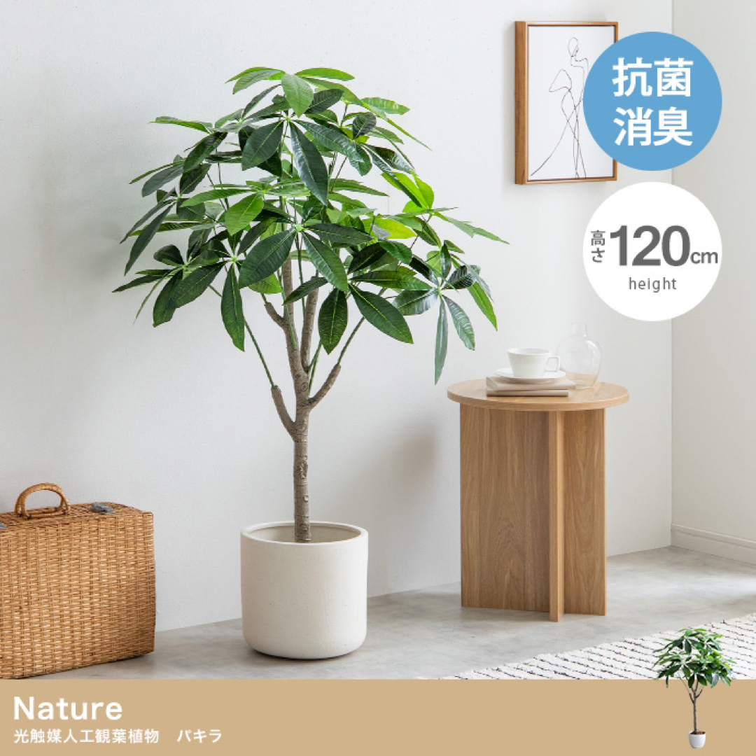 【送料無料】高さ120cm Nature 光触媒人工観葉植物　パキラ