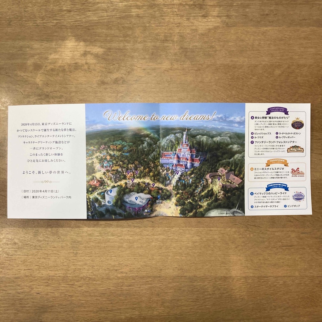 Disney(ディズニー)のグランドオープニング　プレビュー　限定グッズ チケットの施設利用券(遊園地/テーマパーク)の商品写真