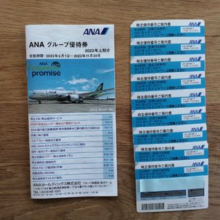 エーエヌエー(ゼンニッポンクウユ)(ANA(全日本空輸))のANA 株主優待9枚+グループ優待券(その他)