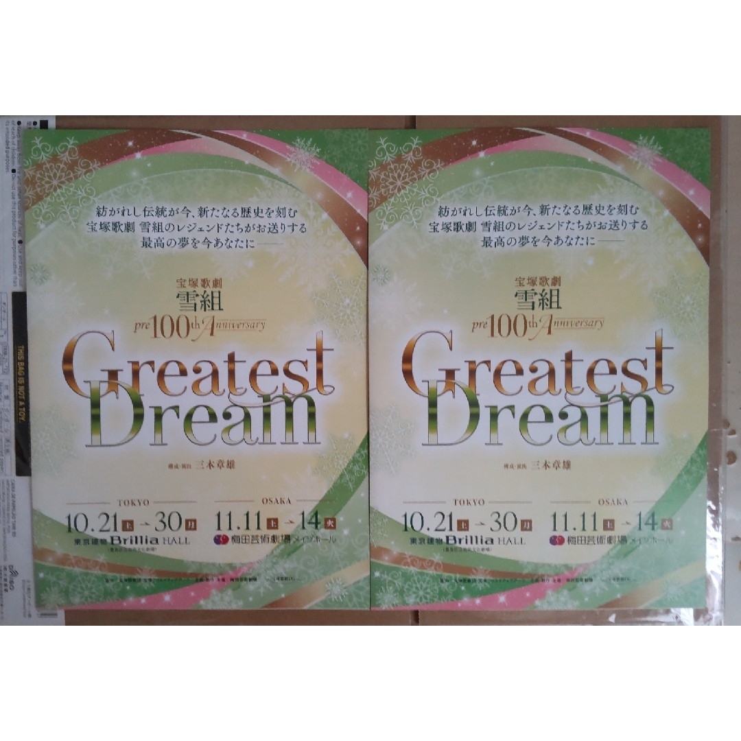 宝塚OGチラシ雪組 pre100thコンサート 『Greatest Dream』 エンタメ/ホビーのコレクション(印刷物)の商品写真