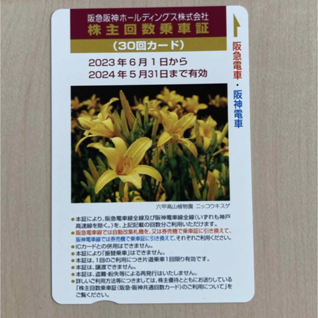 阪急電車　阪神電車　株主回数乗車証　30回✖︎2枚