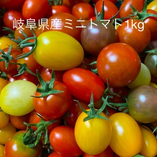 色々ミニトマト　　1kg  岐阜県中津川産(野菜)