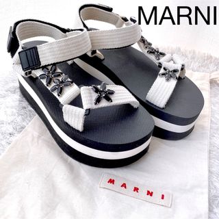 マルニ スポーツサンダル サンダル(レディース)の通販 32点 | Marniの