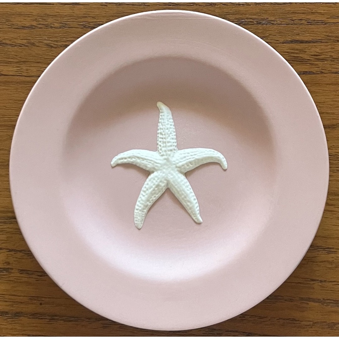 WEDGWOOD(ウェッジウッド)の未使用　ウェッジウッド　ジャスパー　starfish ヒトデ　11㎝プレート エンタメ/ホビーの美術品/アンティーク(陶芸)の商品写真