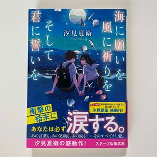 海に願いを風に祈りをそして君に誓いを(文学/小説)