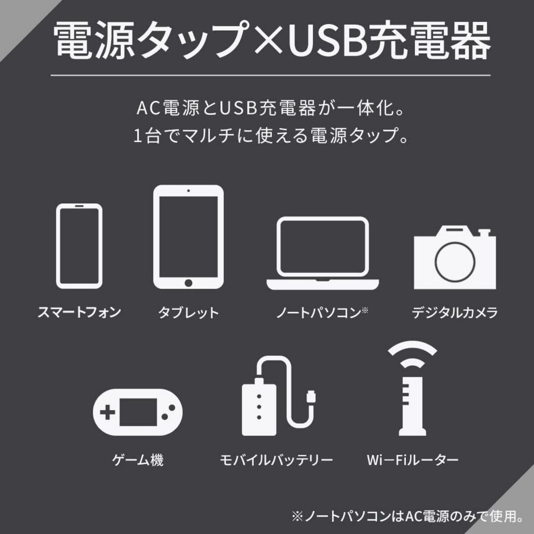 アイリスオーヤマ 電源タップ usb付き 2m ポート2(USB-Ax2) AC 2