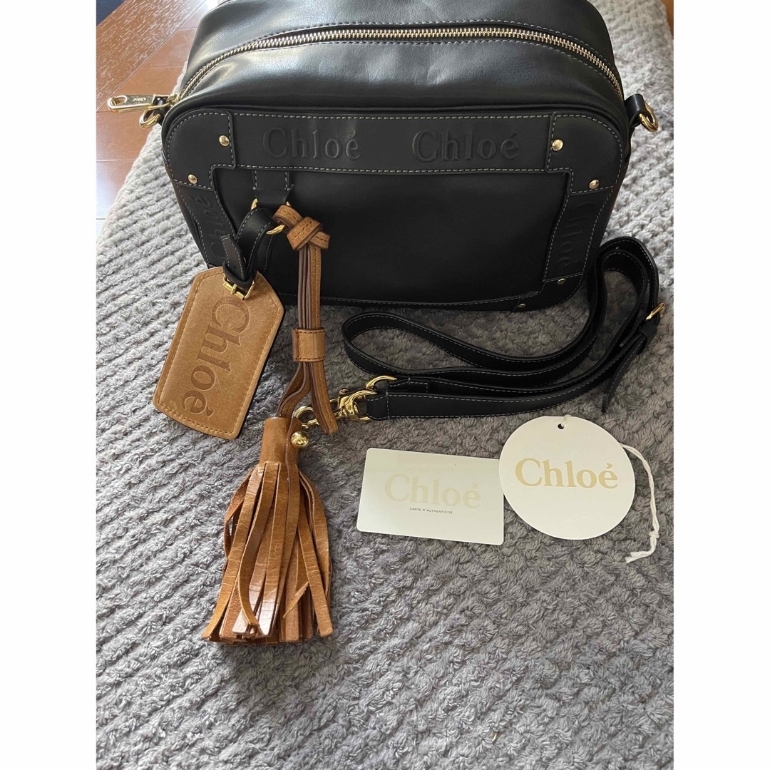 Chloe(クロエ)のクロエ　エデン　ショルダー レディースのバッグ(ショルダーバッグ)の商品写真