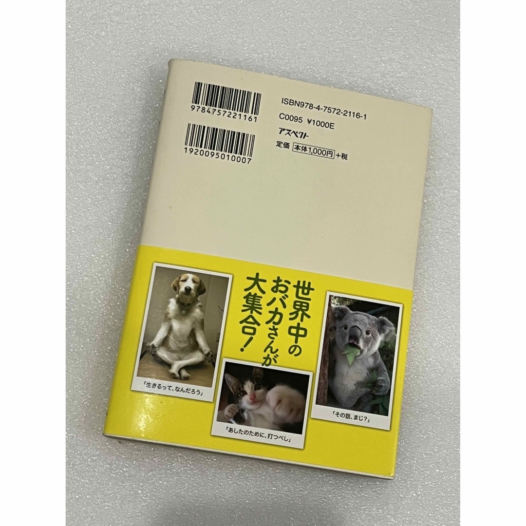 わんニャンとか。 犬猫ほか、面白画像集 エンタメ/ホビーの本(アート/エンタメ)の商品写真