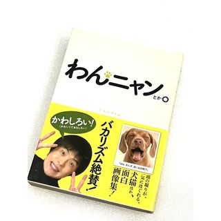 わんニャンとか。 犬猫ほか、面白画像集(アート/エンタメ)