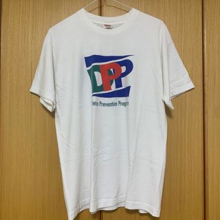 フルーツオブザルーム(FRUIT OF THE LOOM)のシングルステッチ 90s vintage プリントTシャツ(Tシャツ/カットソー(半袖/袖なし))