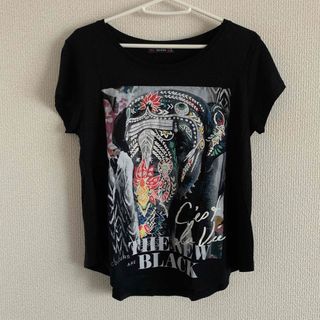 ベルシュカ(Bershka)のベルシュカ　ゾウ　Tシャツ(Tシャツ(半袖/袖なし))