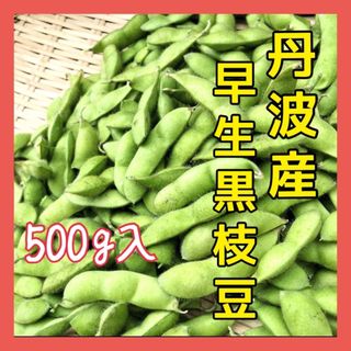 再販‼️丹波の早生黒枝豆❗️怪豆黒頭巾500g入‼️(野菜)